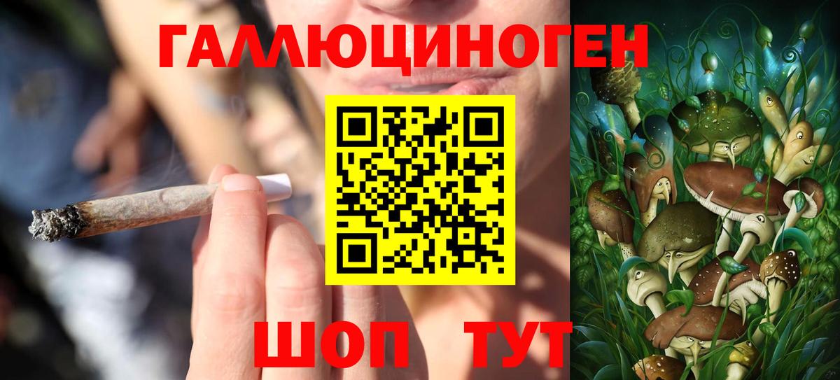 Псилоцибиновые грибы мицелий Новошахтинск