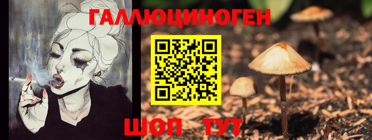 Псилоцибиновые грибы Magic Shrooms  Вход с VPN  Новошахтинск 